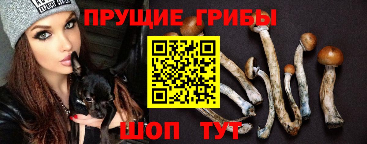 Галлюциногенные грибы прущие грибы Воронеж